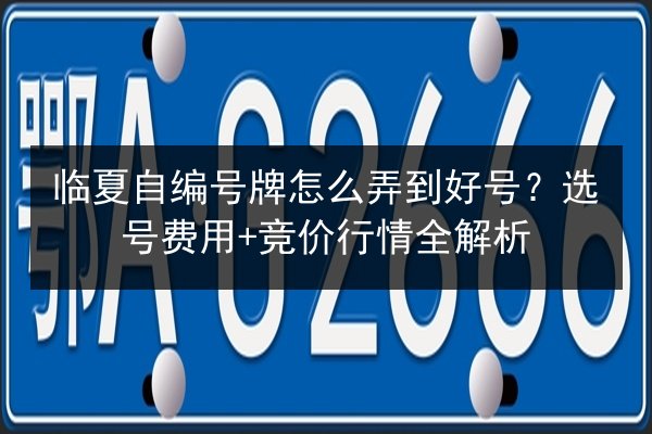 临夏自编号牌怎么弄到好号？选号费用+竞价行情全解析 第3张