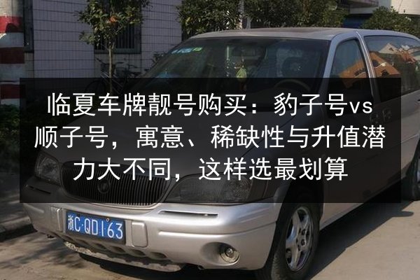 临夏车牌靓号购买：豹子号vs顺子号，寓意、稀缺性与升值潜力大不同，这样选最划算 第1张