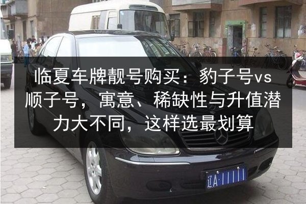 临夏车牌靓号购买：豹子号vs顺子号，寓意、稀缺性与升值潜力大不同，这样选最划算 第2张