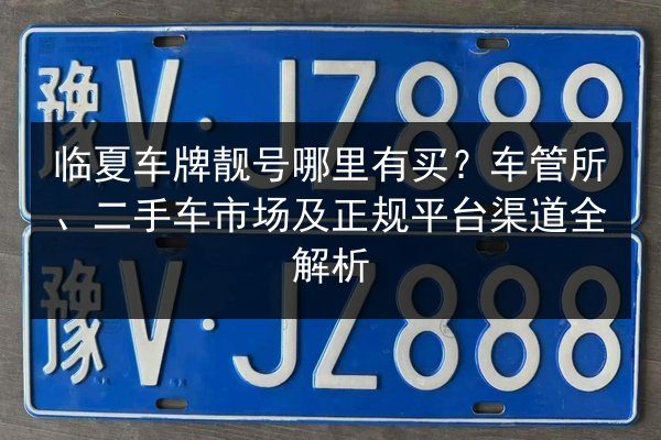 临夏车牌靓号哪里有买?车管所、二手车市场及正规平台渠道全解析 第2张 临夏车牌靓号哪里有买?车管所、二手车市场及正规平台渠道全解析 第2张