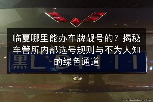 临夏哪里能办车牌靓号的？揭秘车管所内部选号规则与不为人知的绿色通道 第2张
