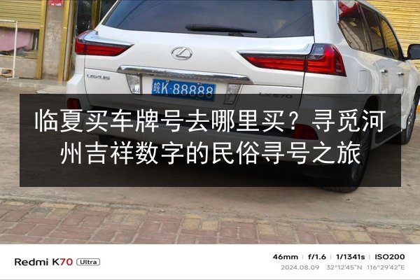 临夏买车牌号去哪里买?寻觅河州吉祥数字的民俗寻号之旅 第2张 临夏买车牌号去哪里买?寻觅河州吉祥数字的民俗寻号之旅 第2张