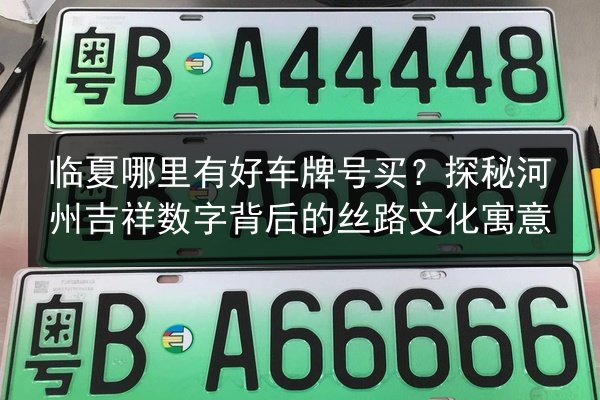 临夏哪里有好车牌号买？探秘河州吉祥数字背后的丝路文化寓意 第3张