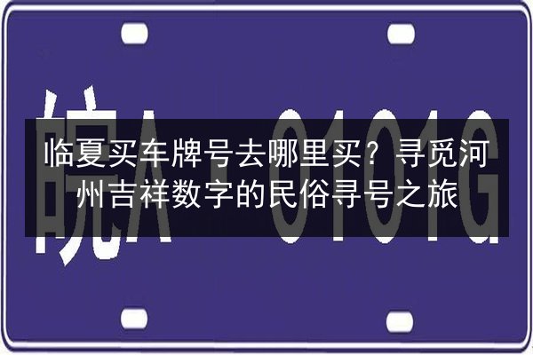 临夏买车牌号去哪里买?寻觅河州吉祥数字的民俗寻号之旅 第3张 临夏买车牌号去哪里买?寻觅河州吉祥数字的民俗寻号之旅 第3张