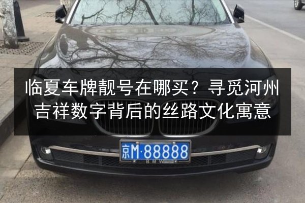 临夏车牌靓号在哪买?寻觅河州吉祥数字背后的丝路文化寓意 第3张 临夏车牌靓号在哪买?寻觅河州吉祥数字背后的丝路文化寓意 第3张