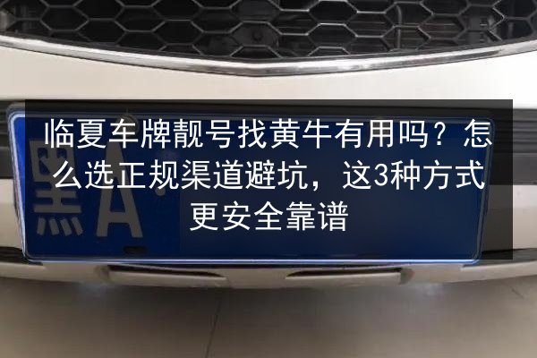 临夏车牌靓号找黄牛有用吗？怎么选正规渠道避坑，这3种方式更安全靠谱 第1张