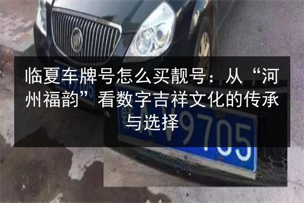 临夏车牌号怎么买靓号:从“河州福韵”看数字吉祥文化的传承与选择 第3张 临夏车牌号怎么买靓号:从“河州福韵”看数字吉祥文化的传承与选择 第3张