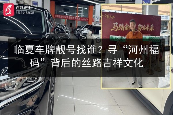 临夏车牌靓号找谁？寻“河州福码”背后的丝路吉祥文化 第3张