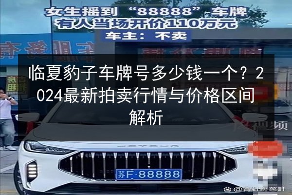 临夏豹子车牌号多少钱一个？2024最新拍卖行情与价格区间解析 第2张