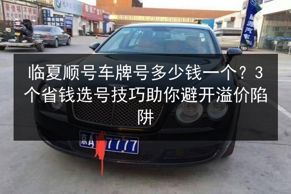 临夏顺号车牌号多少钱一个?3个省钱选号技巧助你避开溢价陷阱 第1张 临夏顺号车牌号多少钱一个?3个省钱选号技巧助你避开溢价陷阱 第1张