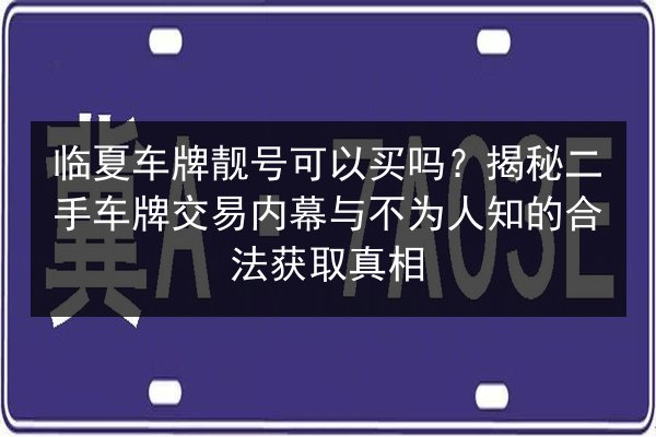 临夏车牌靓号可以买吗？揭秘二手车牌交易内幕与不为人知的合法获取真相
