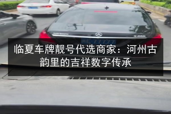 临夏车牌靓号代选商家:河州古韵里的吉祥数字传承 第2张 临夏车牌靓号代选商家:河州古韵里的吉祥数字传承 第2张