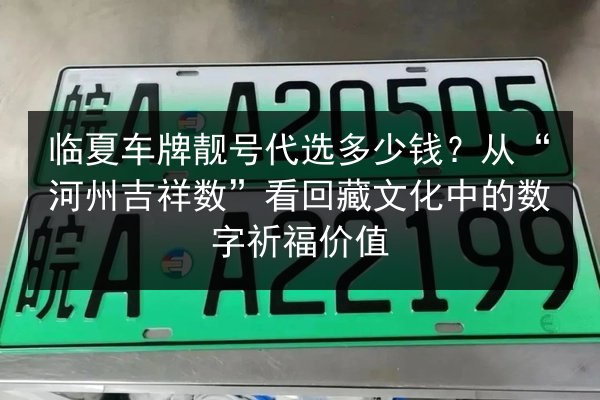 临夏车牌靓号代选多少钱？从“河州吉祥数”看回藏文化中的数字祈福价值 第2张