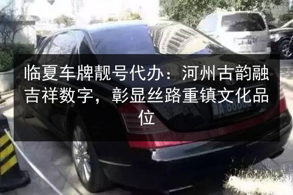 临夏车牌靓号代办：河州古韵融吉祥数字，彰显丝路重镇文化品位 第2张