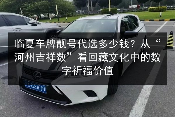 临夏车牌靓号代选多少钱？从“河州吉祥数”看回藏文化中的数字祈福价值 第3张