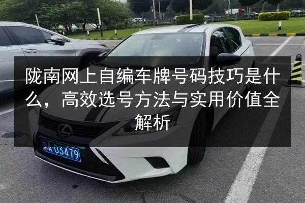 陇南网上自编车牌号码技巧是什么，高效选号方法与实用价值全解析 第2张
