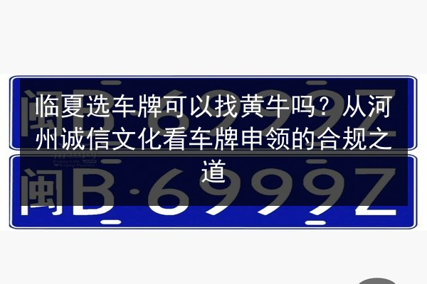 临夏选车牌可以找黄牛吗?从河州诚信文化看车牌申领的合规之道 第3张 临夏选车牌可以找黄牛吗?从河州诚信文化看车牌申领的合规之道 第3张