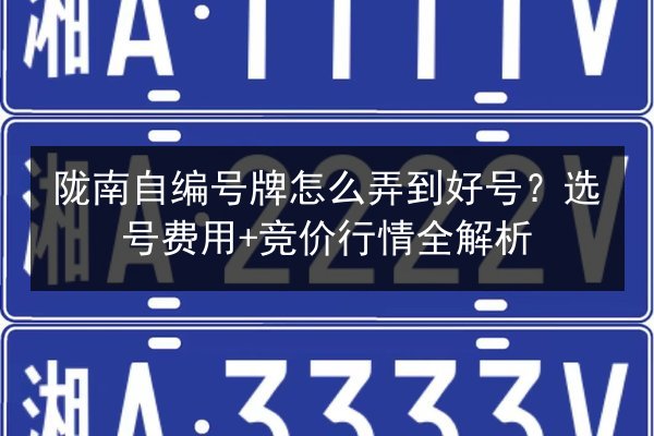 陇南自编号牌怎么弄到好号？选号费用+竞价行情全解析 第1张