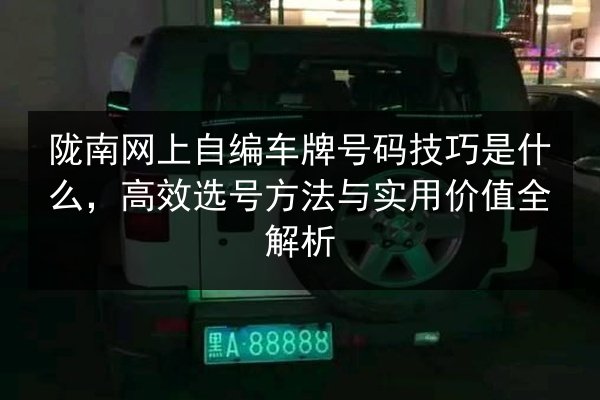 陇南网上自编车牌号码技巧是什么，高效选号方法与实用价值全解析 第3张