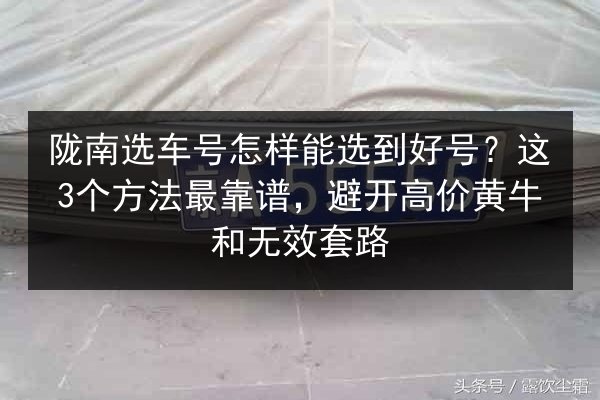 陇南选车号怎样能选到好号?这3个方法最靠谱,避开高价黄牛和无效套路 第2张 陇南选车号怎样能选到好号?这3个方法最靠谱,避开高价黄牛和无效套路 第2张