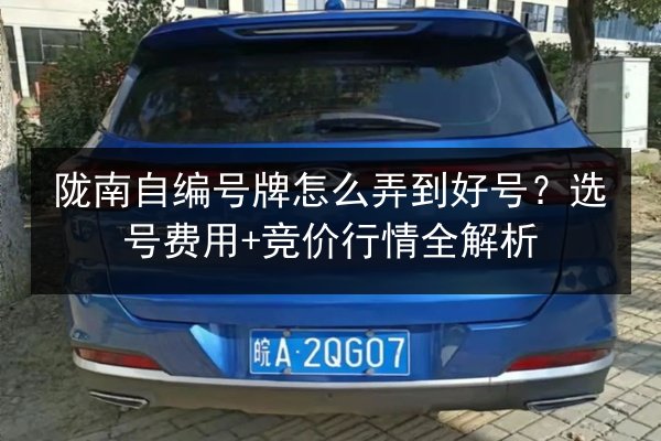 陇南自编号牌怎么弄到好号？选号费用+竞价行情全解析 第2张