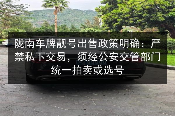 陇南车牌靓号出售政策明确：严禁私下交易，须经公安交管部门统一拍卖或选号 第2张