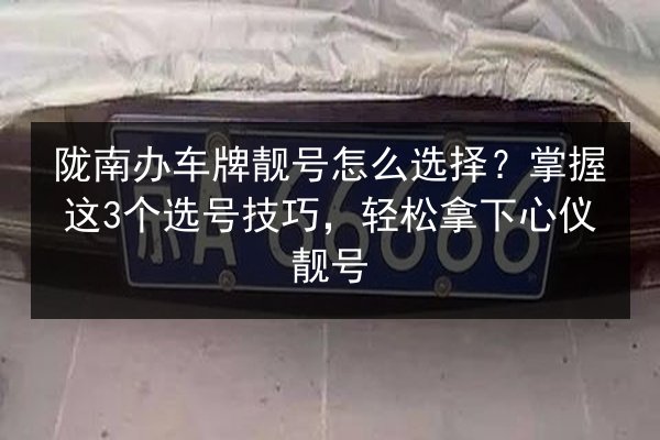 陇南办车牌靓号怎么选择？掌握这3个选号技巧，轻松拿下心仪靓号 第2张
