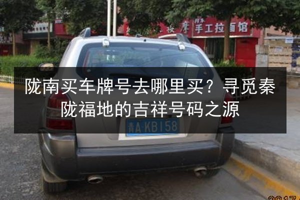 陇南买车牌号去哪里买？寻觅秦陇福地的吉祥号码之源 第2张