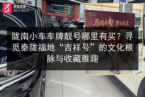 陇南小车车牌靓号哪里有买？寻觅秦陇福地“吉祥号”的文化根脉与收藏雅趣 第2张