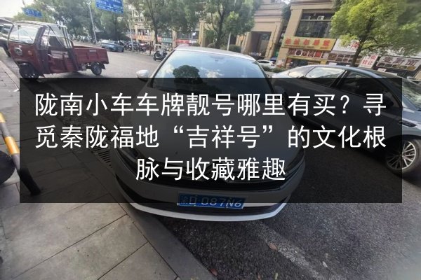 陇南小车车牌靓号哪里有买？寻觅秦陇福地“吉祥号”的文化根脉与收藏雅趣 第3张