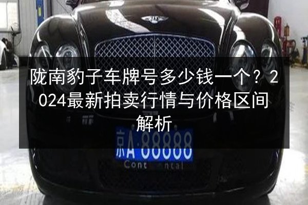 陇南豹子车牌号多少钱一个？2024最新拍卖行情与价格区间解析 第2张