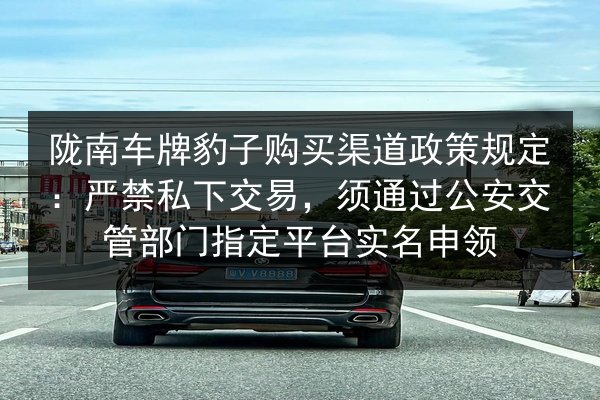 陇南车牌豹子购买渠道政策规定：严禁私下交易，须通过公安交管部门指定平台实名申领 第1张