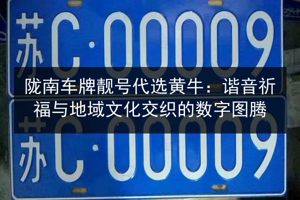 陇南车牌靓号代选黄牛:谐音祈福与地域文化交织的数字图腾 第2张 陇南车牌靓号代选黄牛:谐音祈福与地域文化交织的数字图腾 第2张