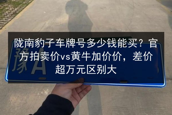 陇南豹子车牌号多少钱能买?官方拍卖价vs黄牛加价价,差价超万元区别大 第3张 陇南豹子车牌号多少钱能买?官方拍卖价vs黄牛加价价,差价超万元区别大 第3张