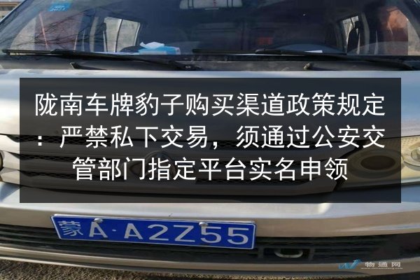 陇南车牌豹子购买渠道政策规定：严禁私下交易，须通过公安交管部门指定平台实名申领 第2张
