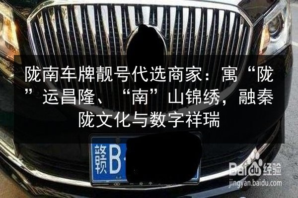 陇南车牌靓号代选商家：寓“陇”运昌隆、“南”山锦绣，融秦陇文化与数字祥瑞 第2张