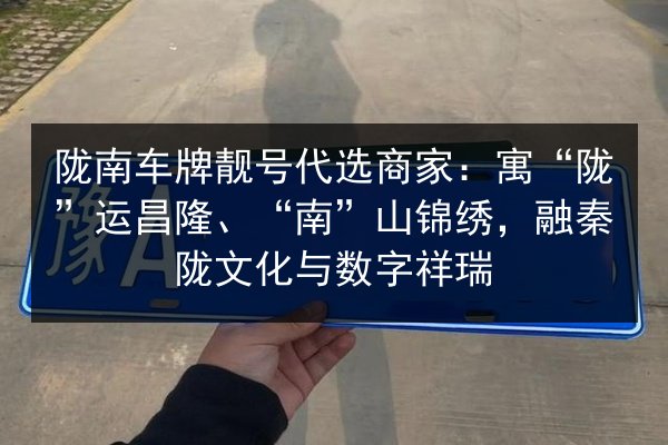 陇南车牌靓号代选商家：寓“陇”运昌隆、“南”山锦绣，融秦陇文化与数字祥瑞 第3张