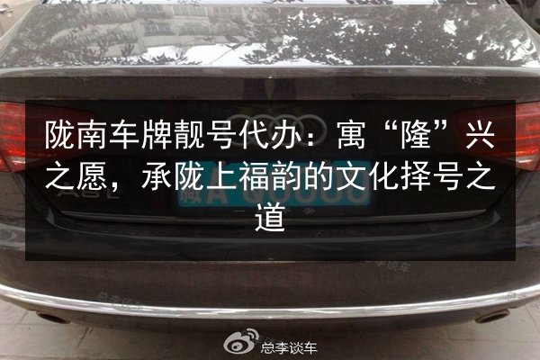 陇南车牌靓号代办：寓“隆”兴之愿，承陇上福韵的文化择号之道 第3张