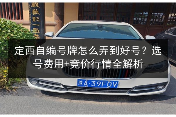 定西自编号牌怎么弄到好号?选号费用+竞价行情全解析 第2张 定西自编号牌怎么弄到好号?选号费用+竞价行情全解析 第2张