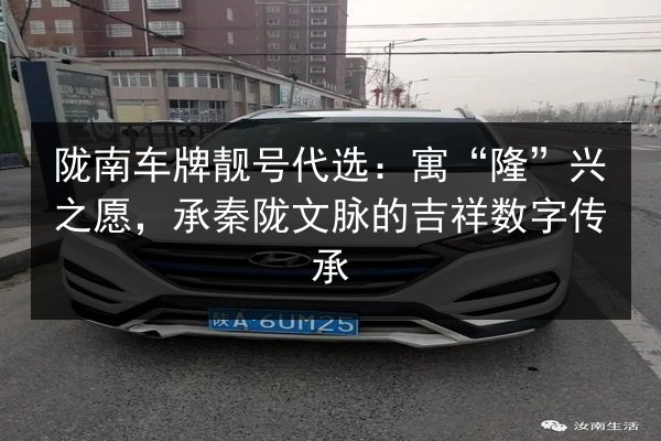 陇南车牌靓号代选：寓“隆”兴之愿，承秦陇文脉的吉祥数字传承 第3张