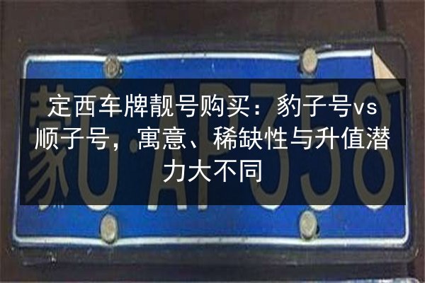 定西车牌靓号购买：豹子号vs顺子号，寓意、稀缺性与升值潜力大不同 第2张