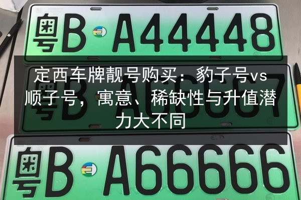 定西车牌靓号购买：豹子号vs顺子号，寓意、稀缺性与升值潜力大不同 第3张
