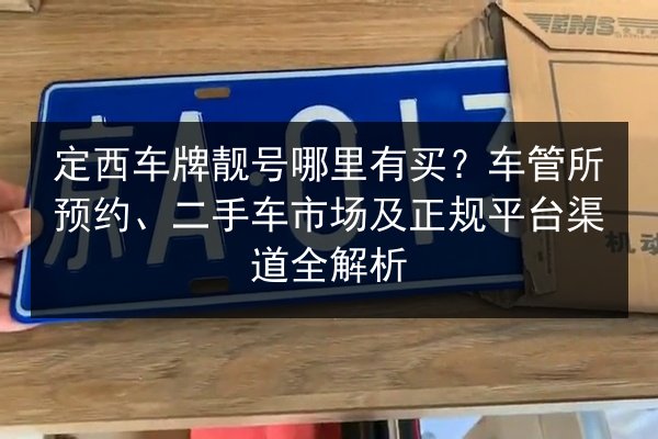定西车牌靓号哪里有买？车管所预约、二手车市场及正规平台渠道全解析 第2张