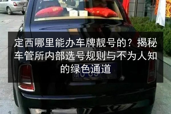 定西哪里能办车牌靓号的？揭秘车管所内部选号规则与不为人知的绿色通道 第2张