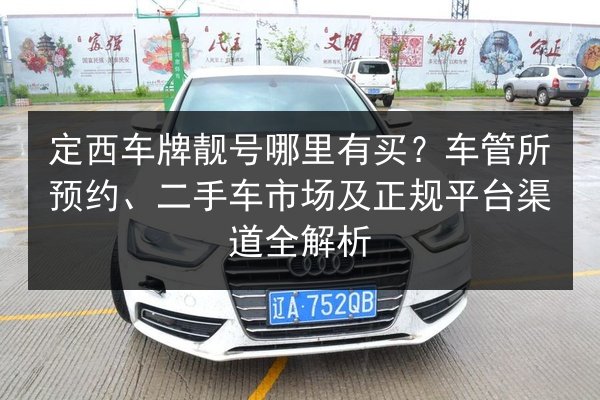 定西车牌靓号哪里有买？车管所预约、二手车市场及正规平台渠道全解析 第3张