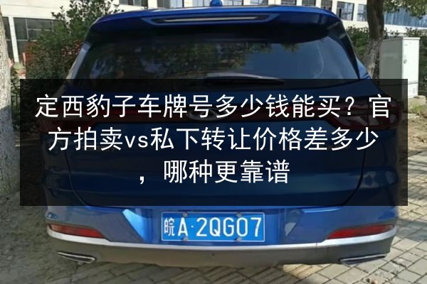 定西豹子车牌号多少钱能买？官方拍卖vs私下转让价格差多少，哪种更靠谱 第2张