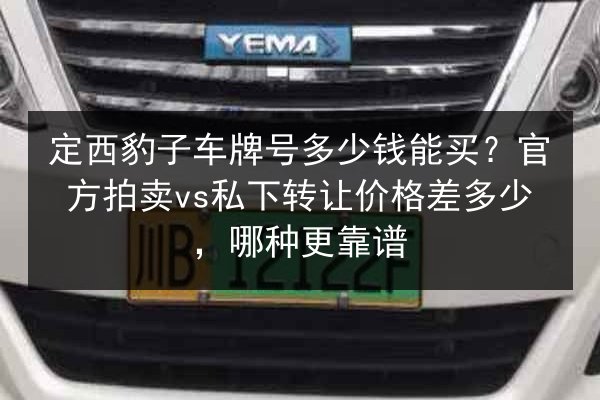 定西豹子车牌号多少钱能买？官方拍卖vs私下转让价格差多少，哪种更靠谱 第3张