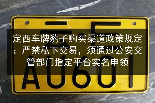 定西车牌豹子购买渠道政策规定:严禁私下交易,须通过公安交管部门指定平台实名申领 第3张 定西车牌豹子购买渠道政策规定:严禁私下交易,须通过公安交管部门指定平台实名申领 第3张