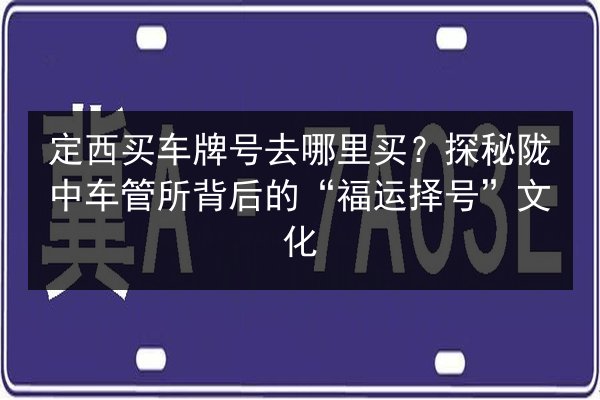 定西买车牌号去哪里买？探秘陇中车管所背后的“福运择号”文化 第2张
