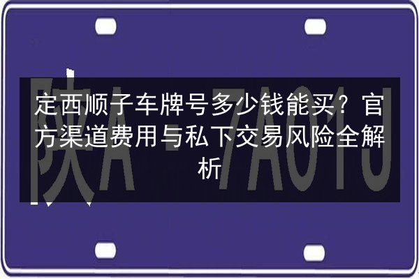 定西顺子车牌号多少钱能买？官方渠道费用与私下交易风险全解析 第2张